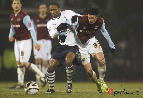 反应和本土 反应和本土